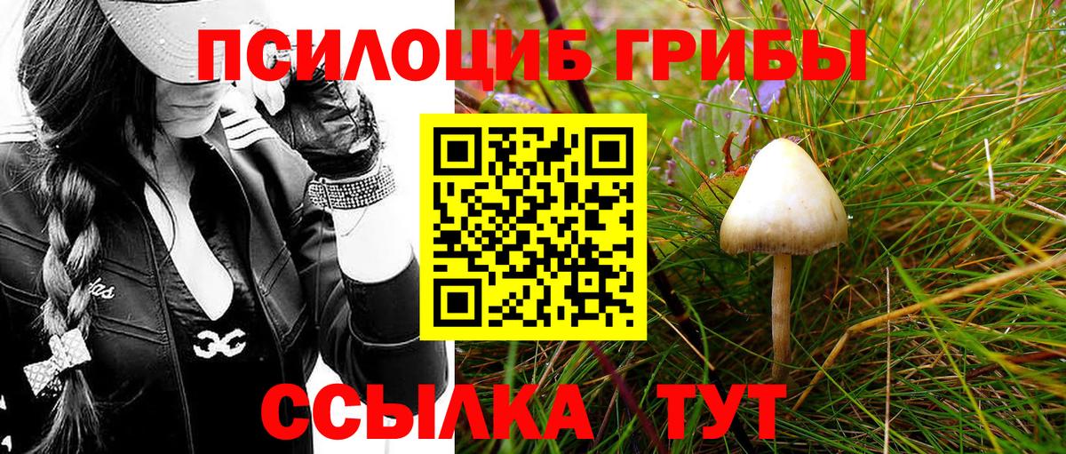 Галлюциногенные грибы Magic Shrooms Батайск